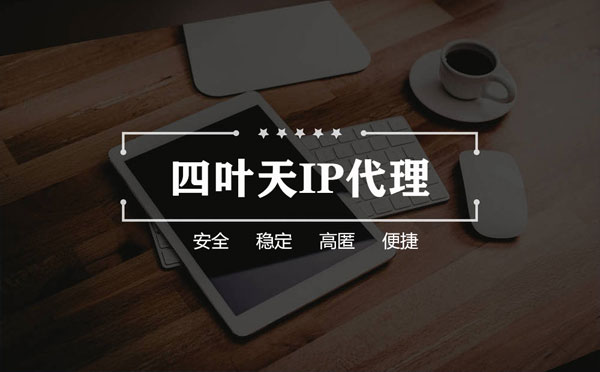 【廊坊代理IP】如何快速搭建代理IP？怎么检查代理的效果？